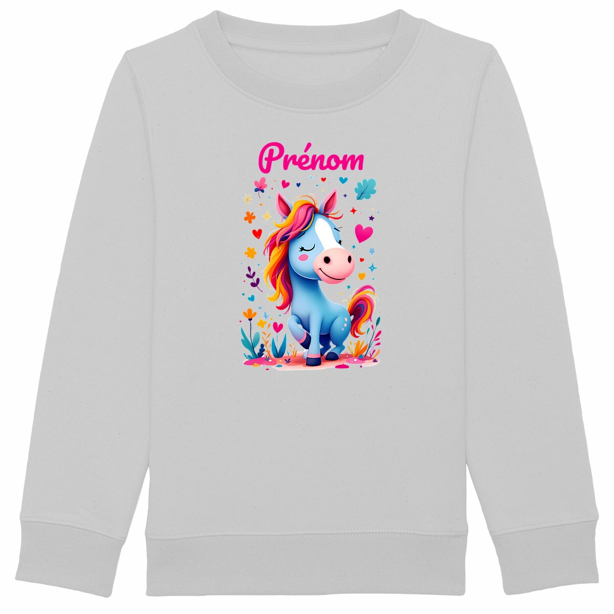 Sweat-shirt Epais Enfant La Ponette des Rêves Colorés personnalisable - face_gris