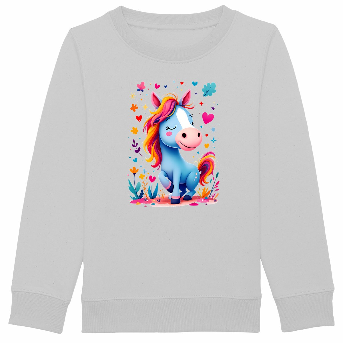 Sweat-shirt Epais Enfant La Ponette des Rêves Colorés - face_gris